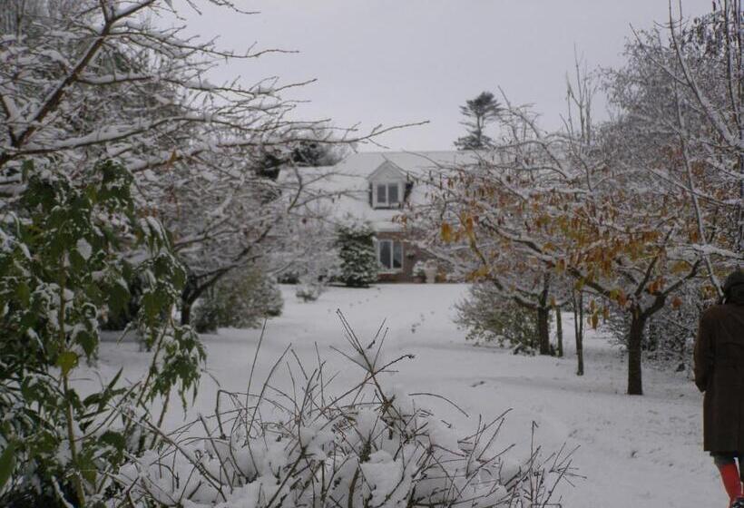 住宿加早餐 Killurin Lodge