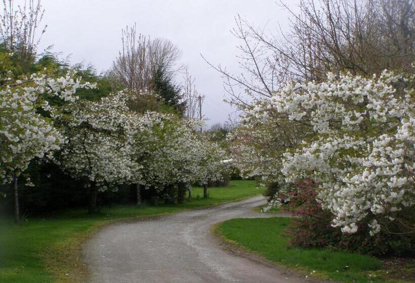 住宿加早餐 Killurin Lodge