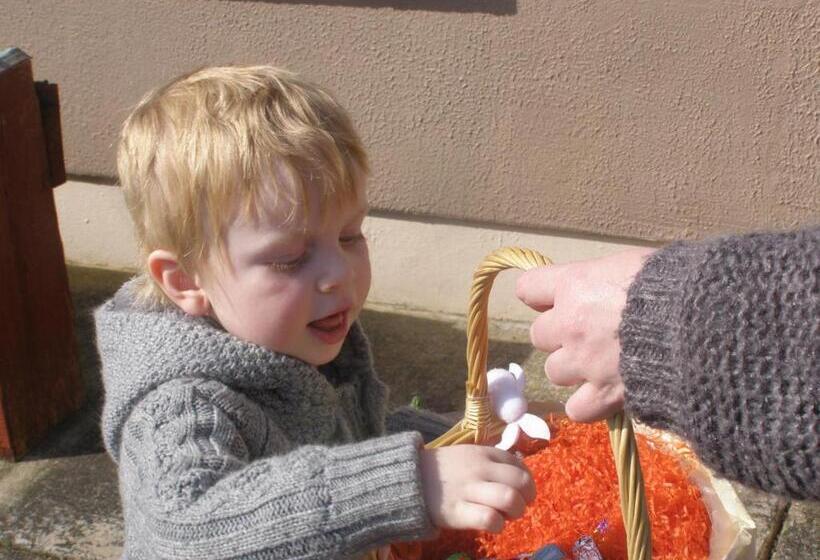 住宿加早餐 Killurin Lodge