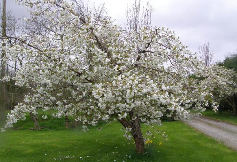 住宿加早餐 Killurin Lodge