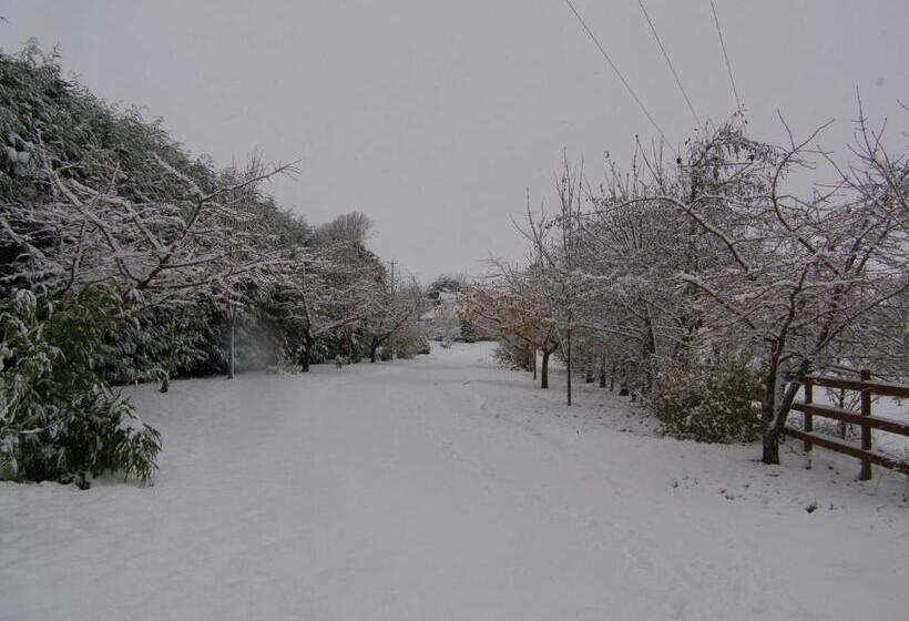 住宿加早餐 Killurin Lodge