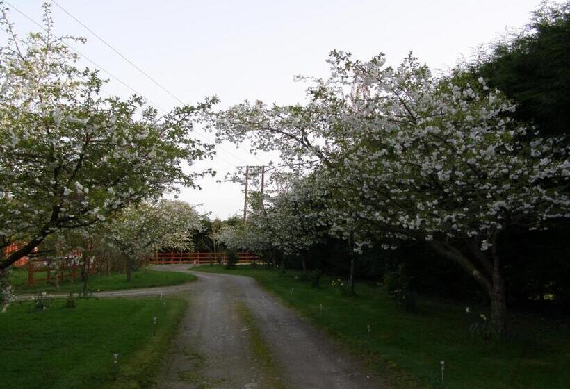 住宿加早餐 Killurin Lodge