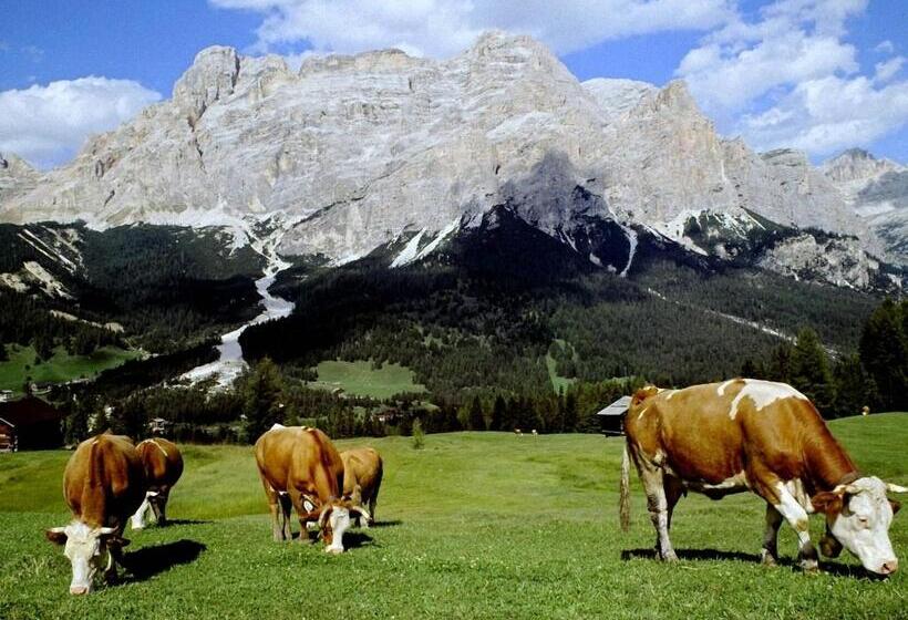 Dolomites Apartments Ciasa Vally