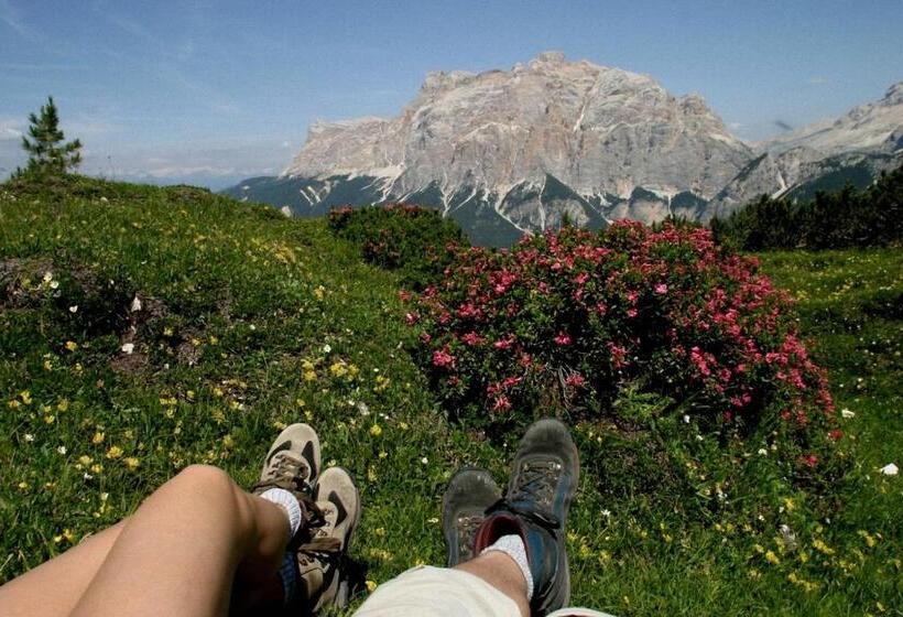 Dolomites Apartments Ciasa Vally