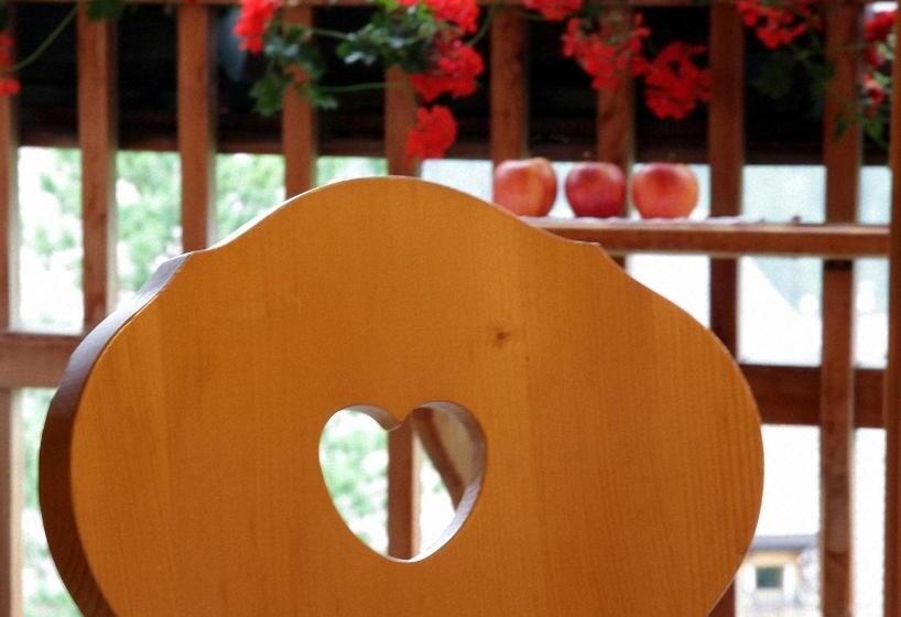 Dolomites Apartments Ciasa Vally