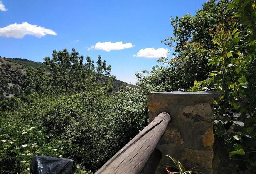 El Vergel De Berchules