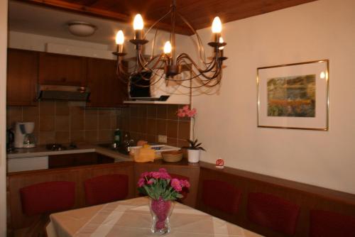 Ferienhaus Schiwiese Mit Freiem Eintritt In Die Alpentherme