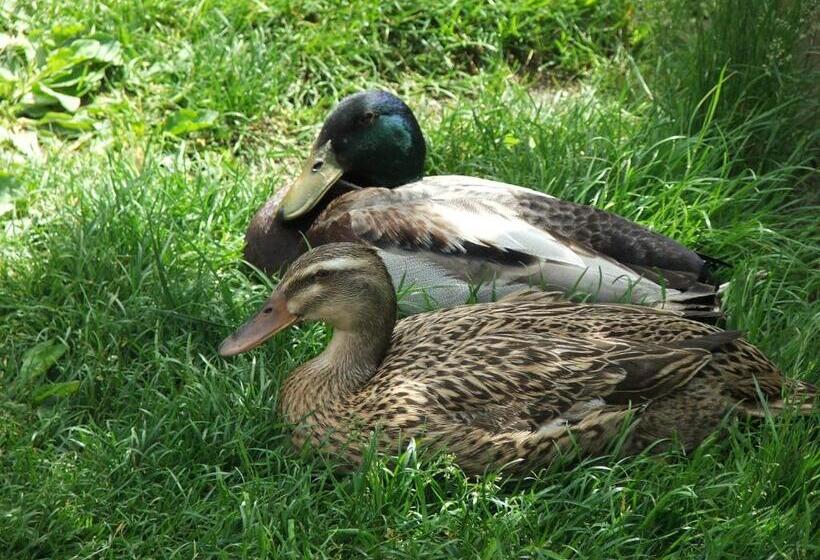 Frühstückspension Götzfried Hof
