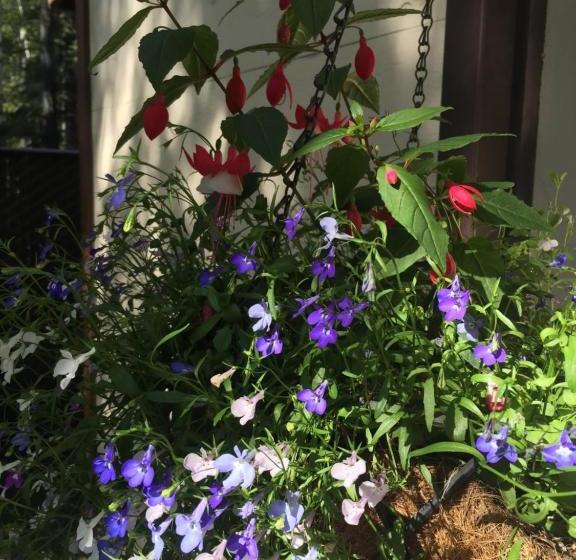 فندق Abbey Archway Inn