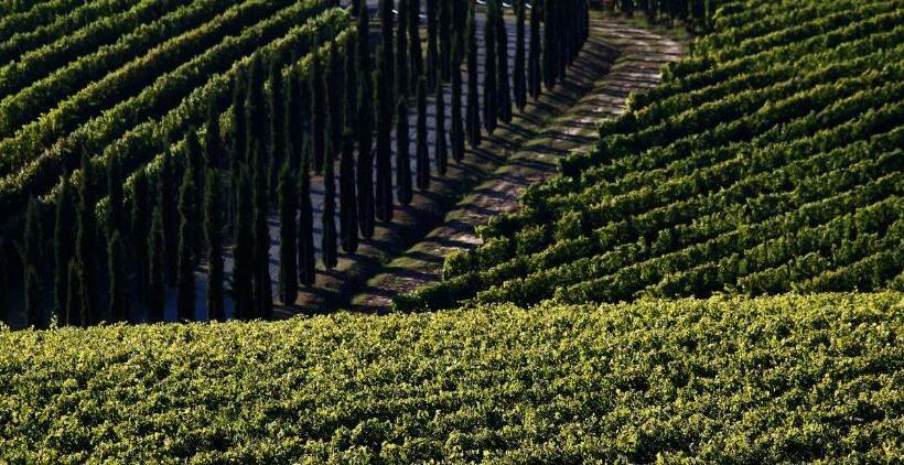 Отель Poggio Al Casone