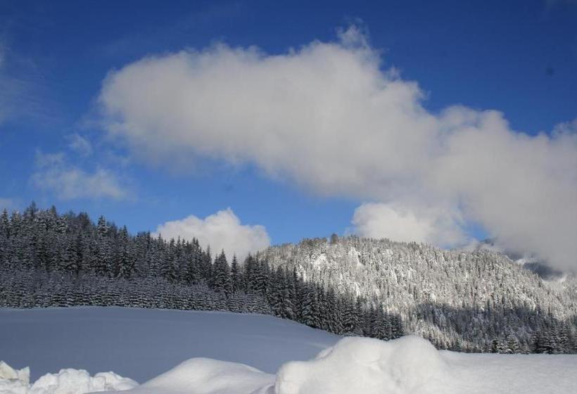 פנסיון Alpengasthof Oberweissbach