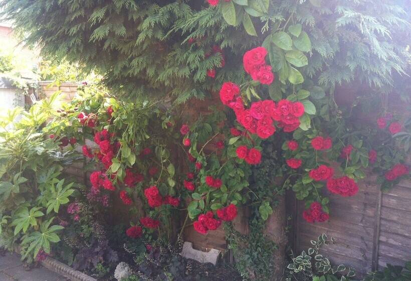 פנסיון Boscombe Reef