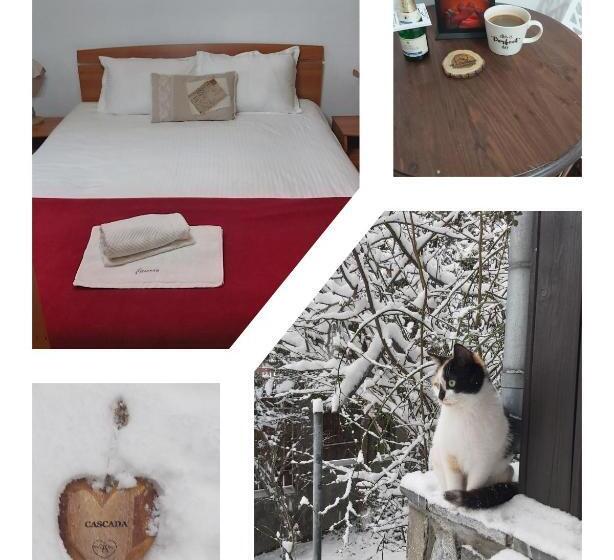 펜션 Camere De Inchiriat Cascada