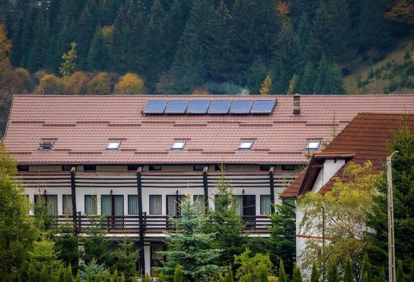 بنسيون Casa Muntelui