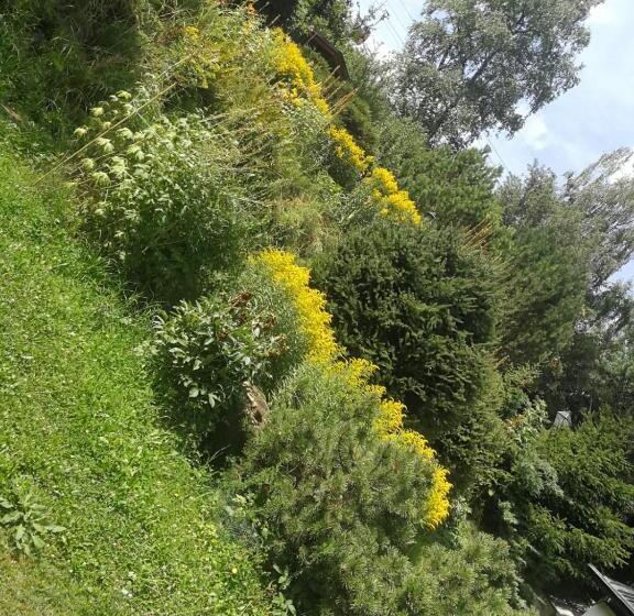 פנסיון Country House Dolomiti