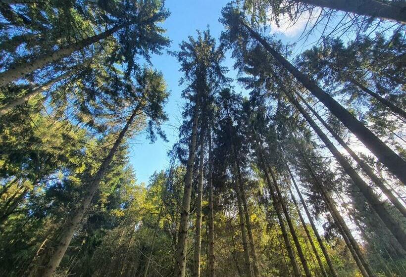 Pension Forsthaus Garz