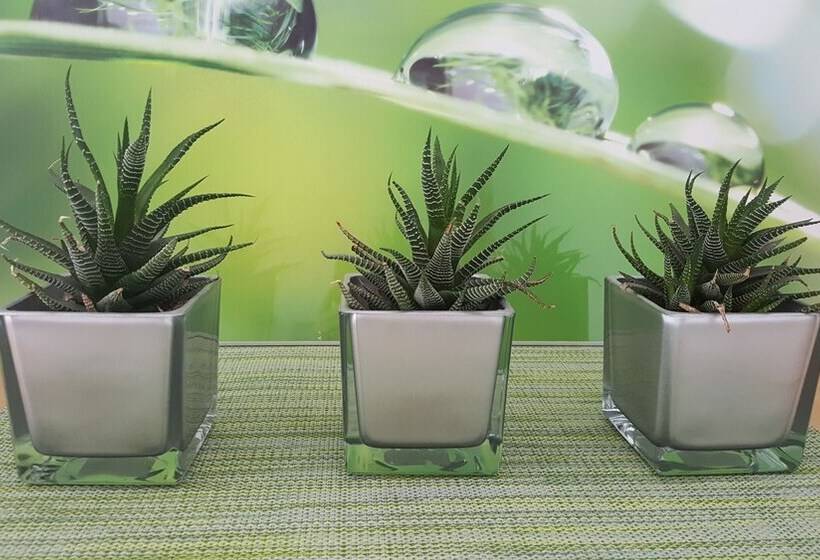 Pension Forsthaus Garz