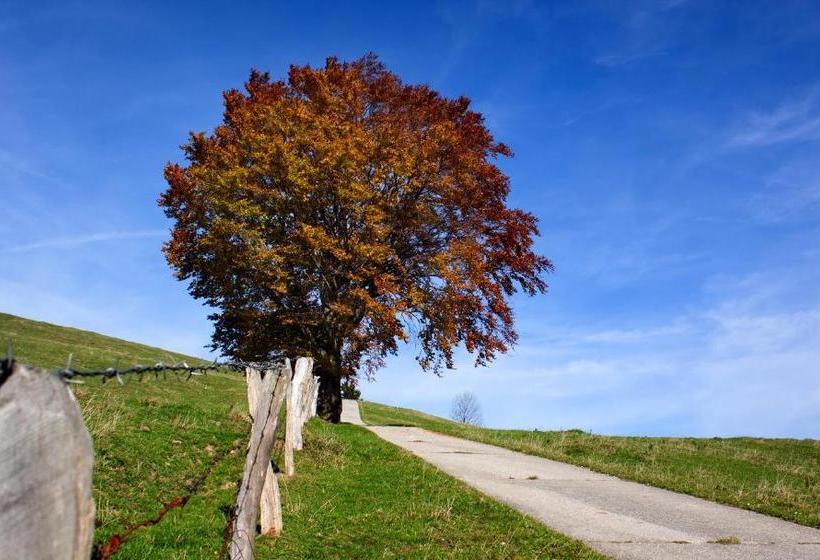 פנסיון Gasthof Fischerstüberl