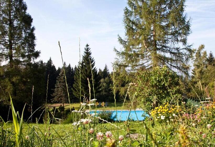 פנסיון Gasthof Waldschenke