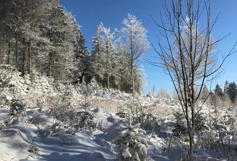פנסיון Gasthof Waldschenke