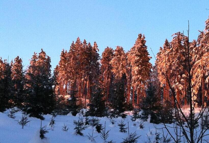 פנסיון Gasthof Waldschenke