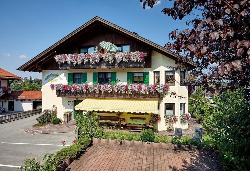 بنسيون Gästehaus Alpina