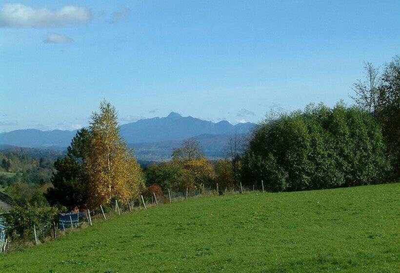 بنسيون Gästehaus Alpina