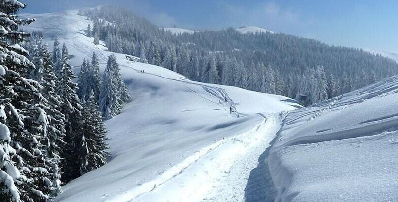بنسيون Gästehaus Alpina