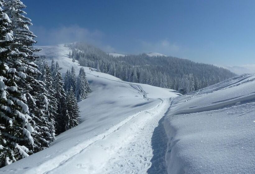 بنسيون Gästehaus Alpina