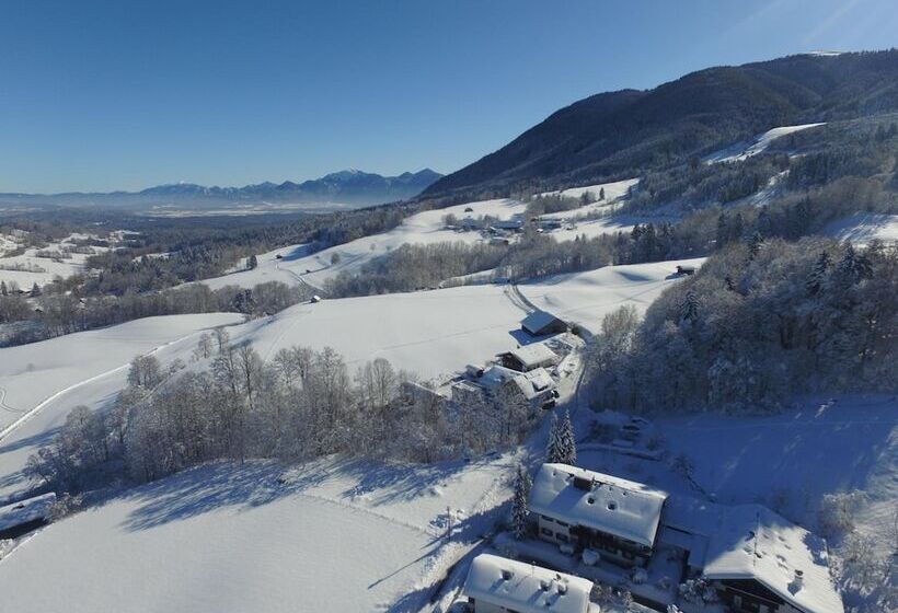 بنسيون Gästehaus Alpina