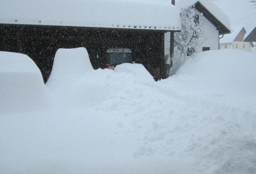 پانسیون Gästehaus Holzfeind