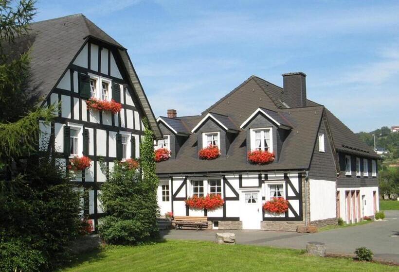 펜션 Gästehaus Schwarzenauer Mühle