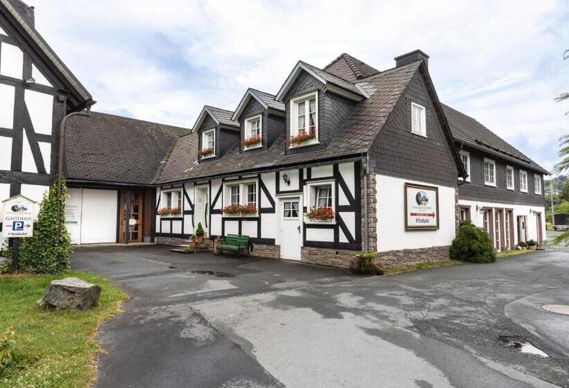 펜션 Gästehaus Schwarzenauer Mühle