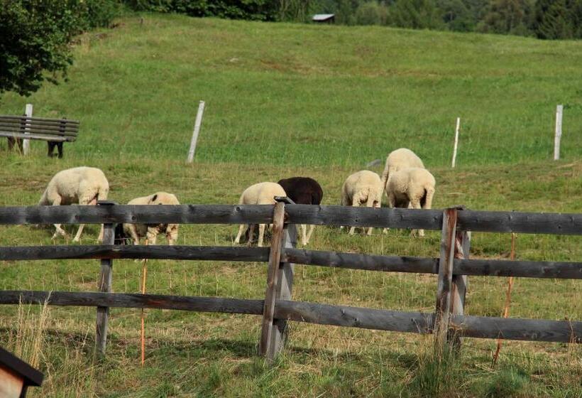 펜션 Gut Sonnbichl