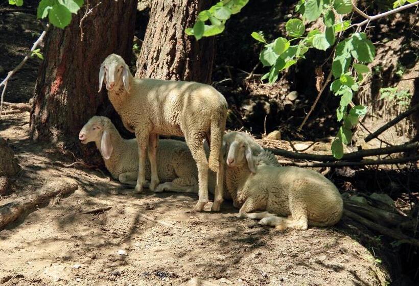 펜션 Gut Sonnbichl