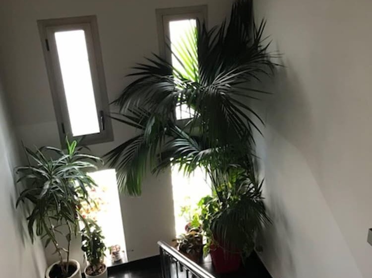 پانسیون Hostal Rica Posada