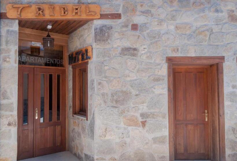 ペンション Hostal Tribal