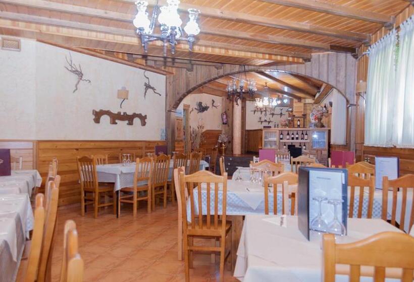 ペンション Hostal Tribal