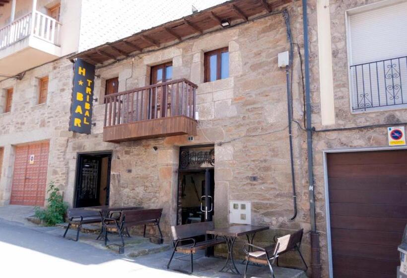 ペンション Hostal Tribal