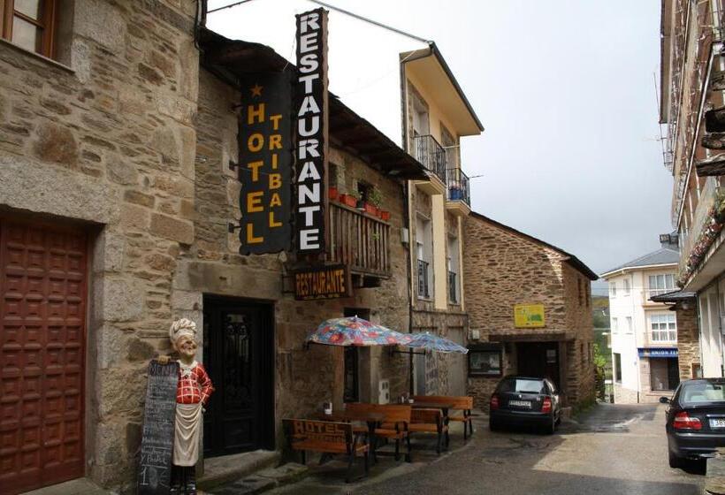 ペンション Hostal Tribal