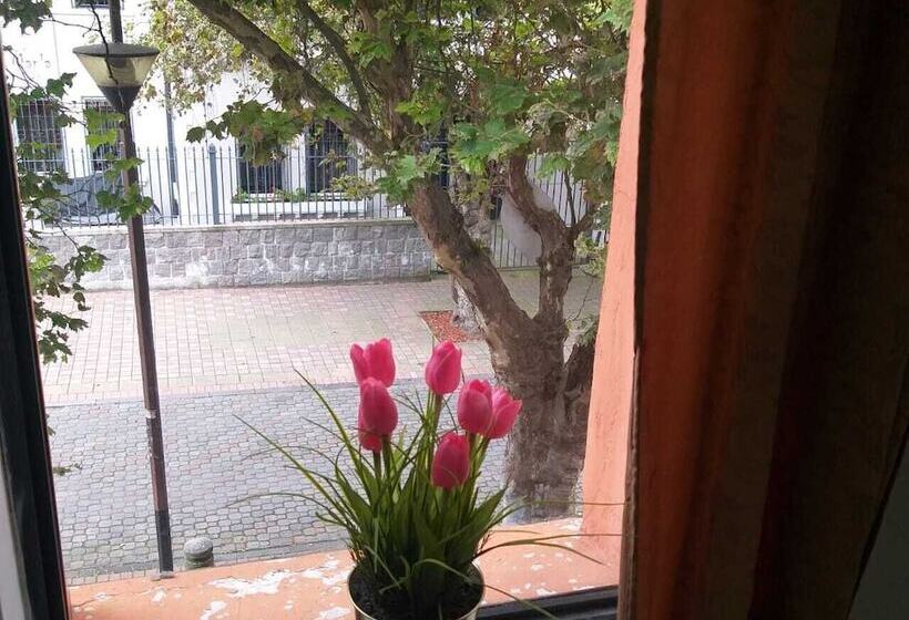 پانسیون Whipala Hostal