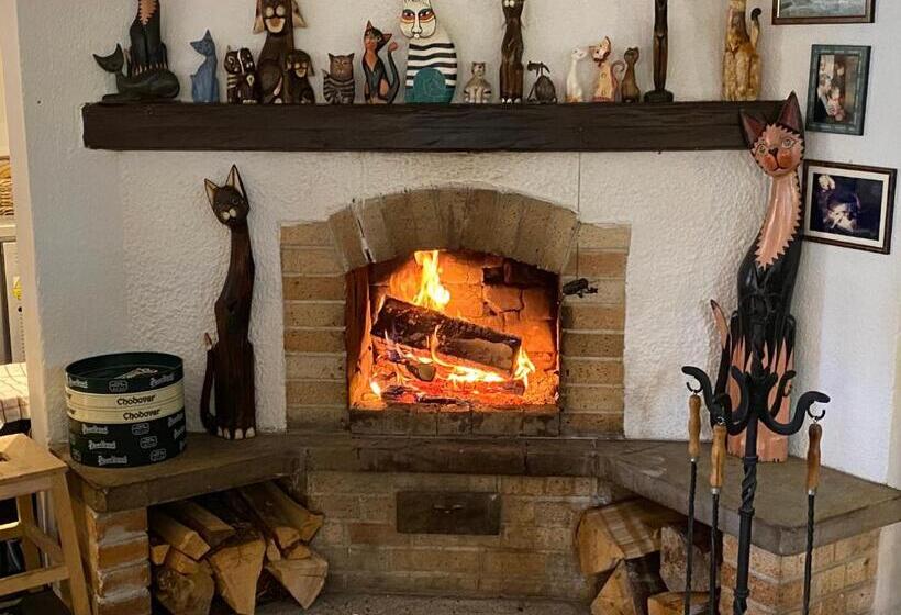 פנסיון Hostinec U Pejska A Kocicky