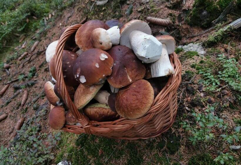 פנסיון Hostinec U Pejska A Kocicky