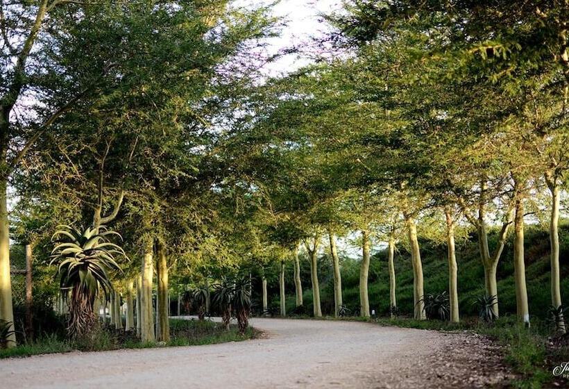 ペンション Kududu Guest House