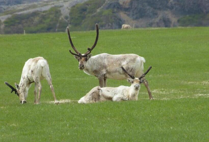 پانسیون Lyngás Guesthouse