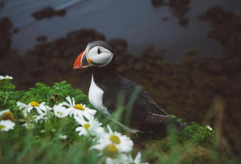 پانسیون Lyngás Guesthouse