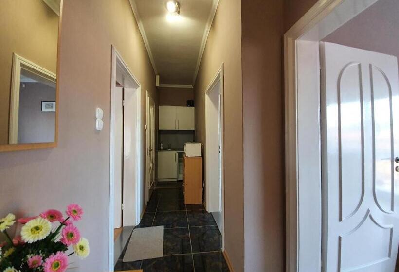 膳宿费 Party Vendégház