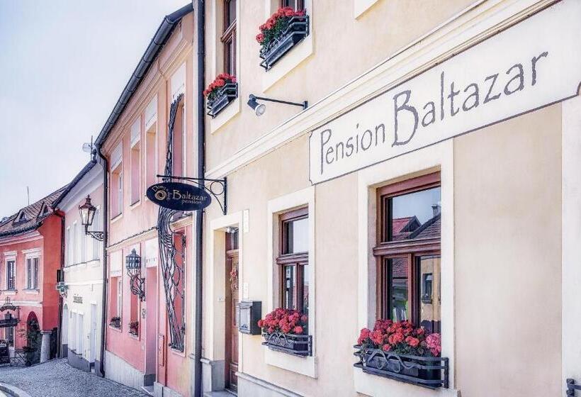 بنسيون Penzion Baltazar Mikulov