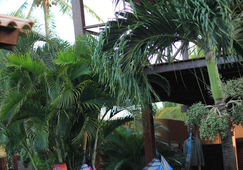 膳宿费 Pousada Meeting Point & Kiteschool