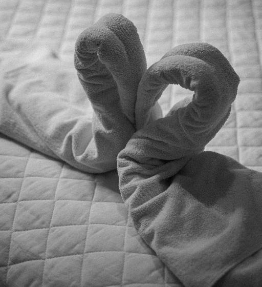 펜션 Pousada Pinhão E Poesia